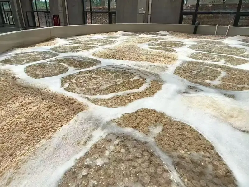 生物过滤 — YUTANK 循环水系统模块