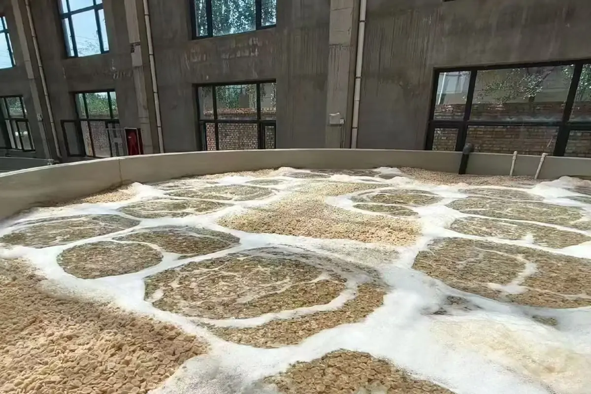 MBBR 生物过滤器曝气