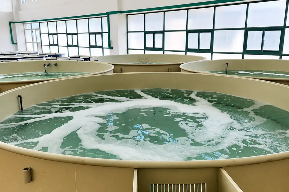 氧气输送