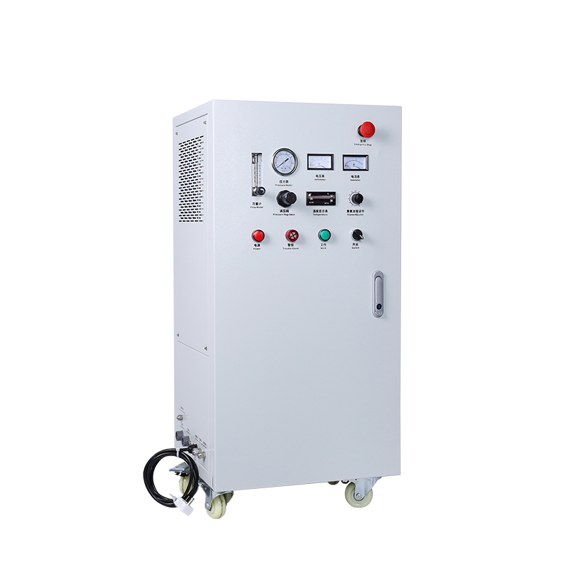 RAS Ozone Generator, 5-100g/h Pathogen Control for Hatchery