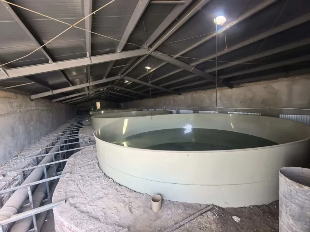 未完工建筑内，裸露管道旁已注水的圆形池。