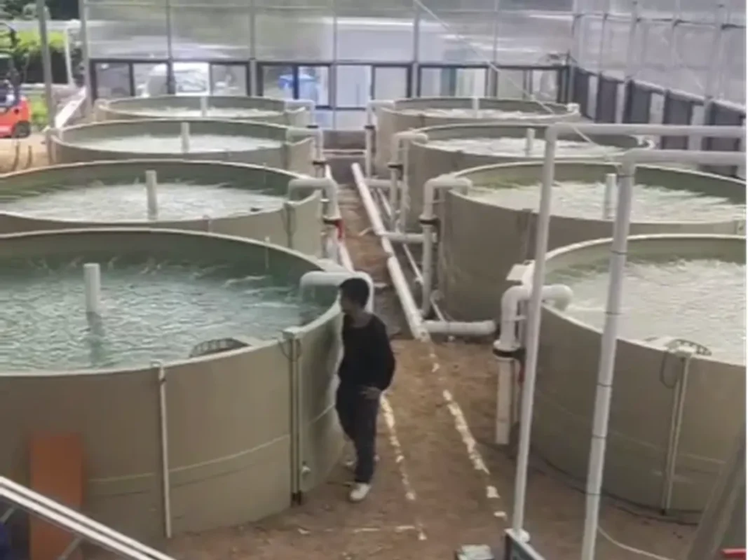 设施内部成排的注水池及进水管。