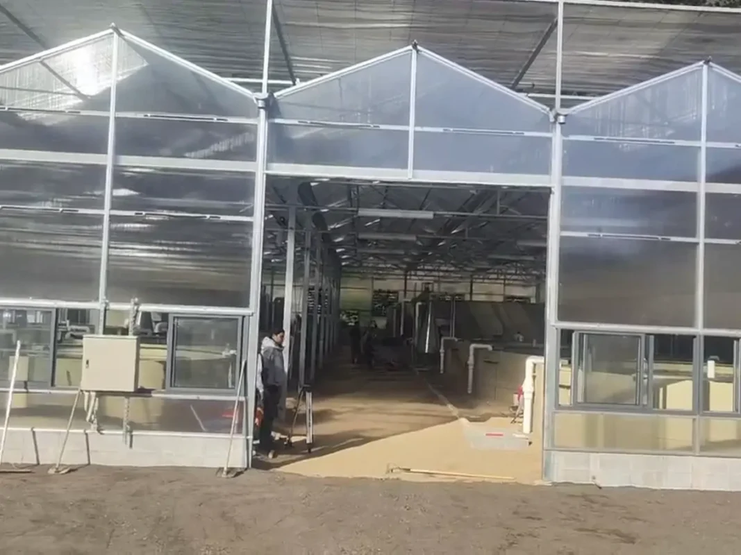 温室式建筑的敞开入口及可见内部步道。