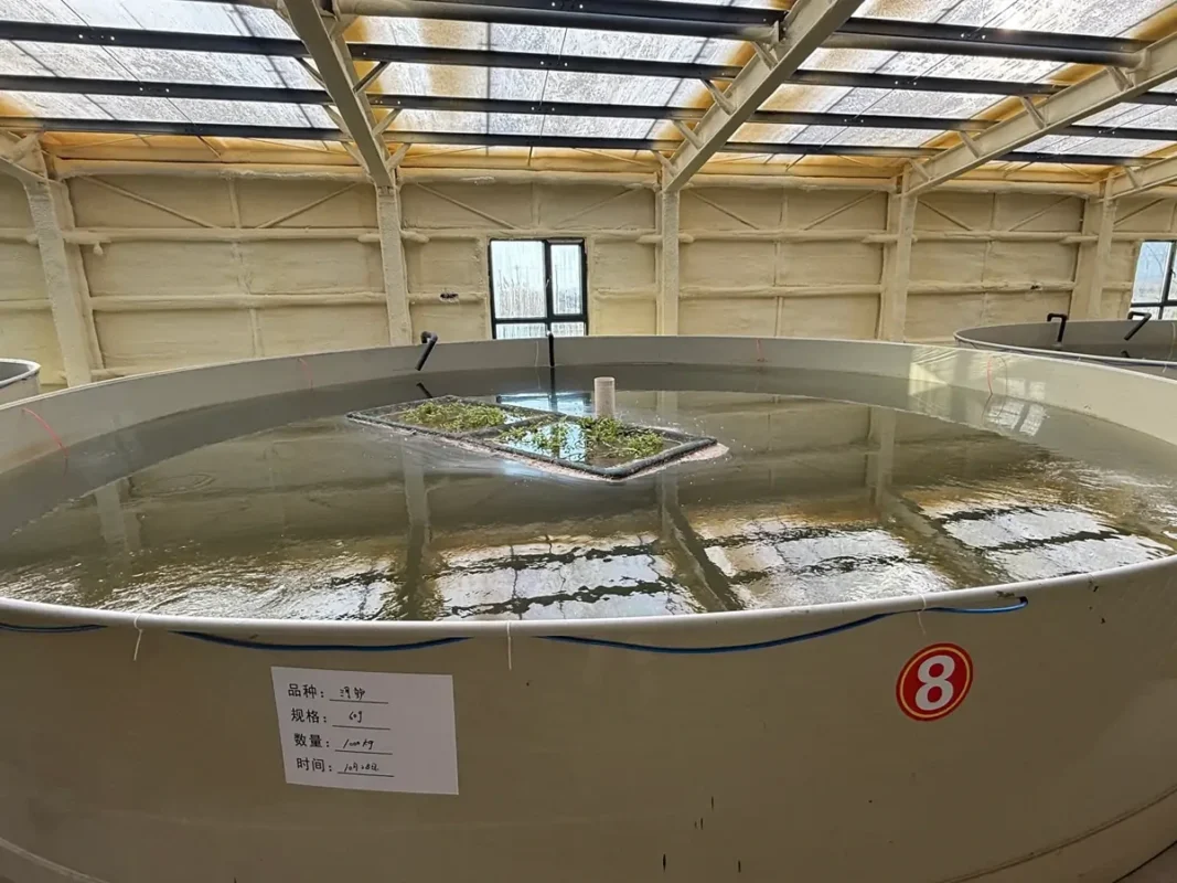 已注水的圆形池，上方有管道并设有格栅检修板。