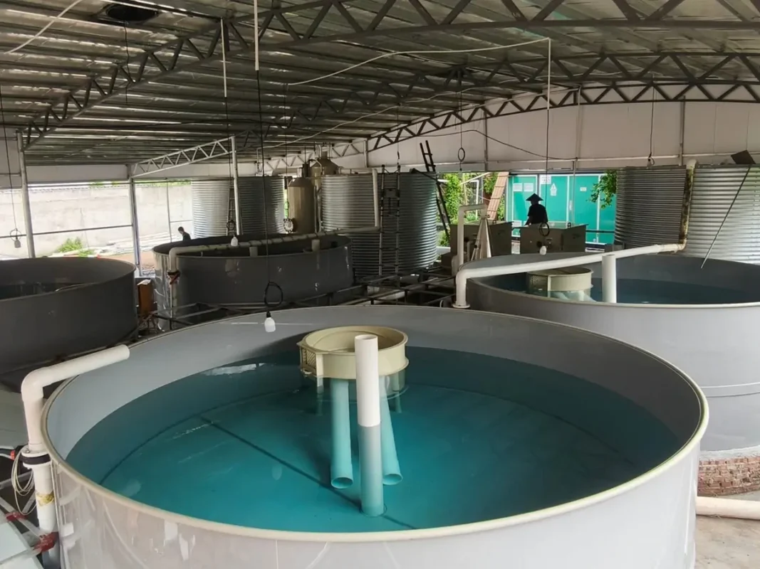 中央设有管道的注水圆形池，后方为处理容器。