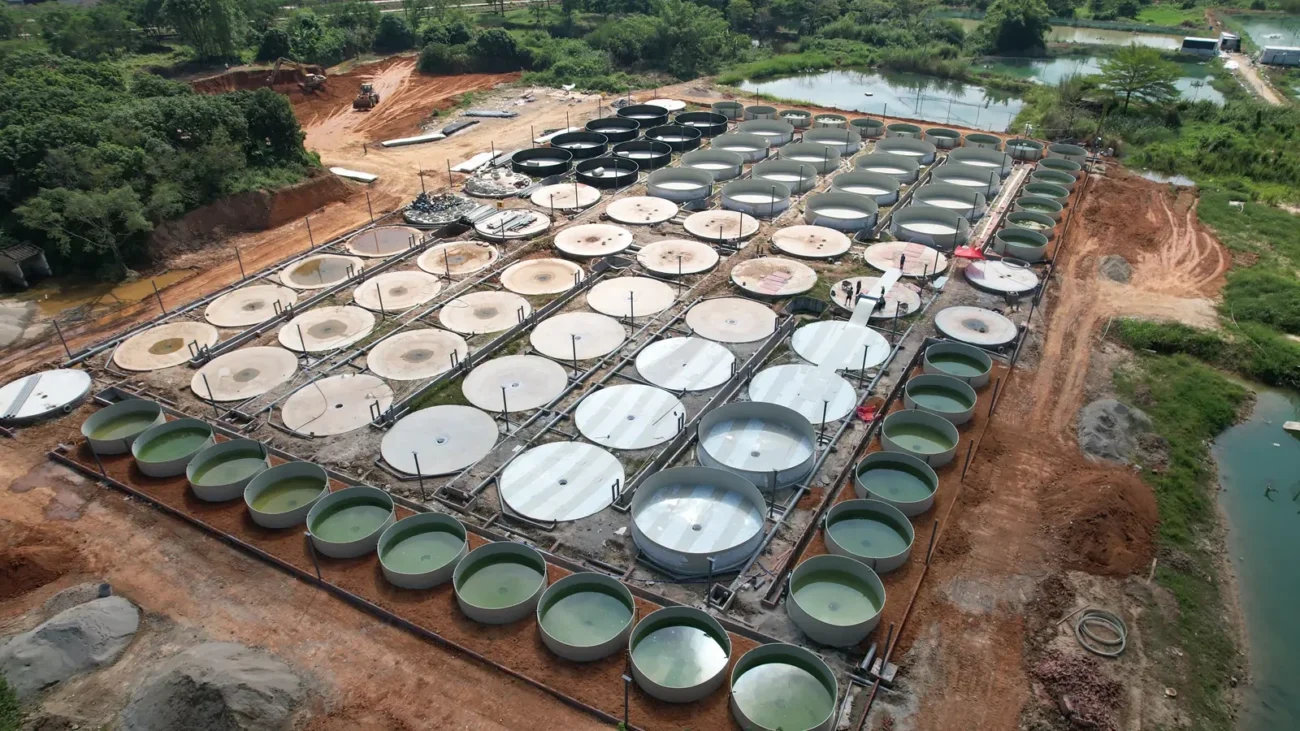 4,900 立方米福建漳州加州鲈 RAS 项目