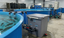 Bộ lọc trống tốt nhất cho hồ koi 1